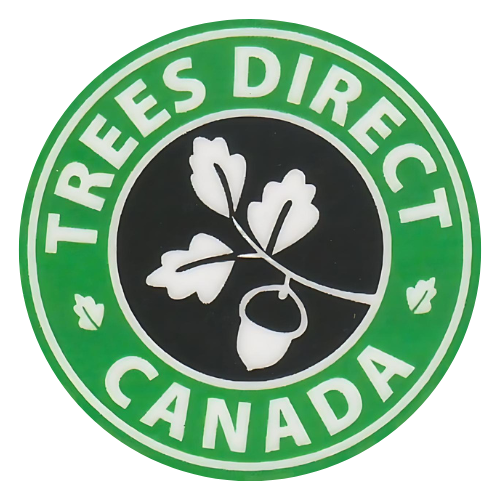 Trees Direct Canada